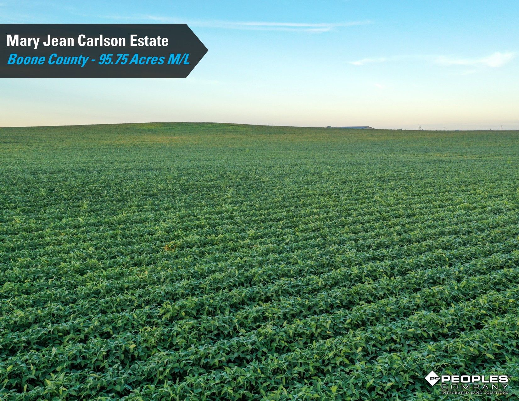 Listing Photo: Boone-County-IA-Land-Auction-95.75-Acres-Ogden-Carlson-Estate (7)